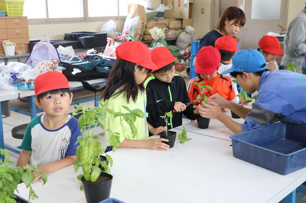 ピザ作りなどに挑戦 産業高校と智恵文小中学校、2回目の食育連携学習