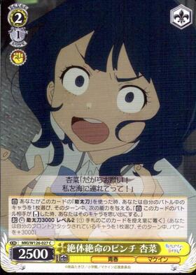 ふわもこ夢心地望月杏奈(SSP)(サイン)(IMS/S61-001SSP) | 未登録