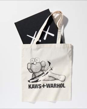 KAWS + WARHOL ARTBOOK UNIQLO – Designstoresyd