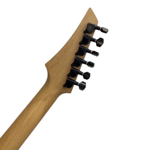 FERNANDES (フェルナンデス) エレキギター ストラトキャスター