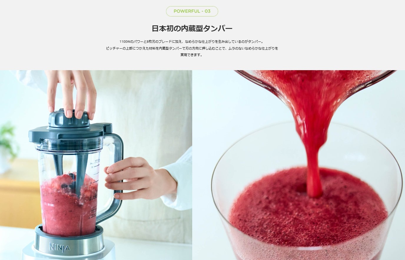 Ninja Twisti ミキサー SS151J(シルバー): Shark｜JAL Mall