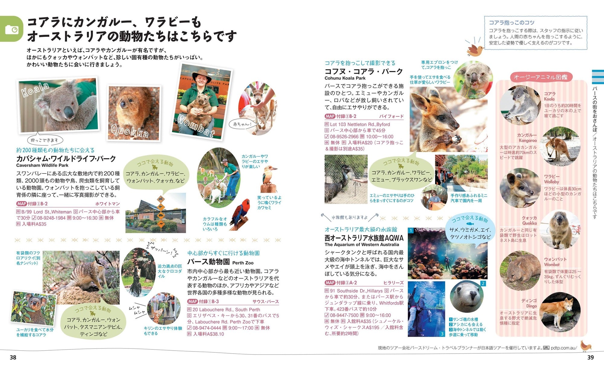 9784398156327.in03.jpg?v=