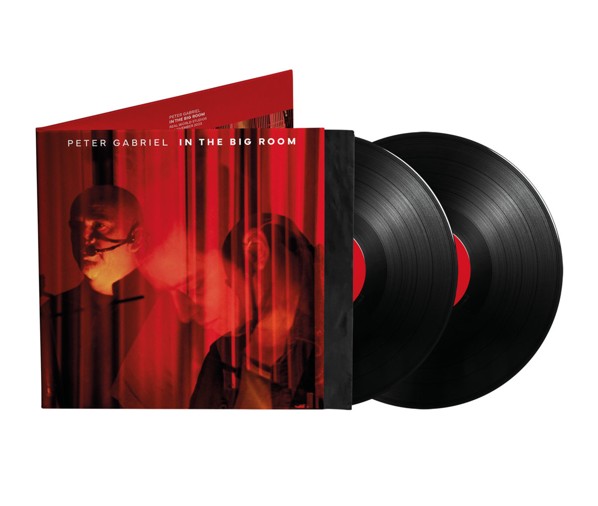 In The Big Room | Peter Gabriel