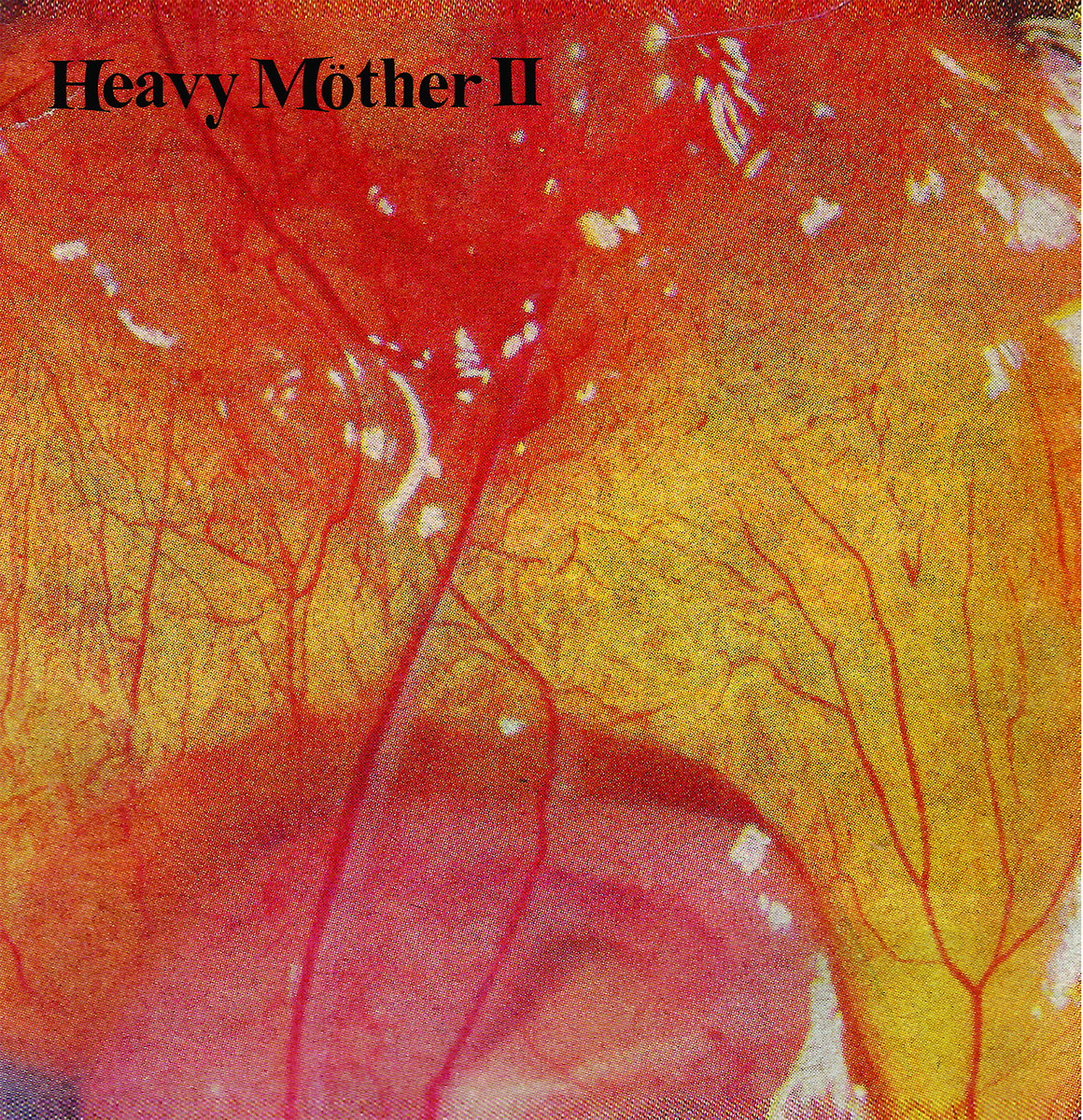 S/T LP | Heavy Möther II | Total Punk Records