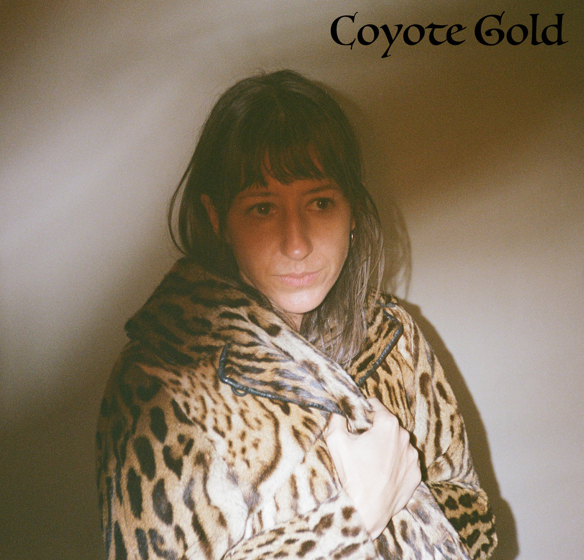 Coyote Gold | Alicia Gail