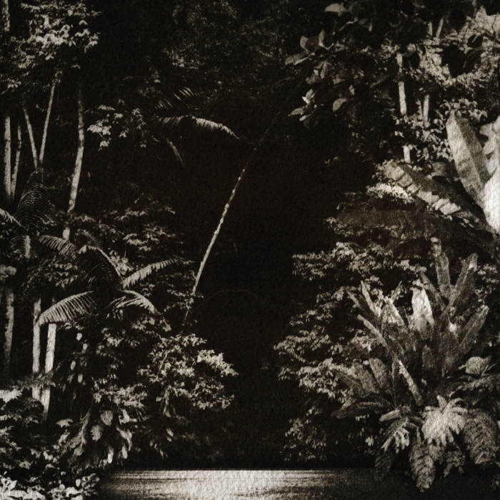 HGHLF026: Nicola Cruz ~ Arpejos da Floresta | Nicola Cruz