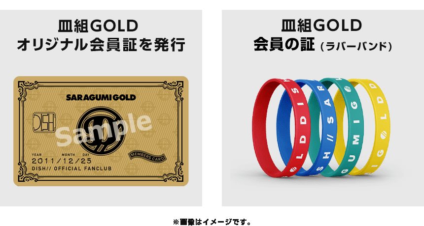 新規入会 | DISH//オフィシャルファンクラブ 皿組GOLD