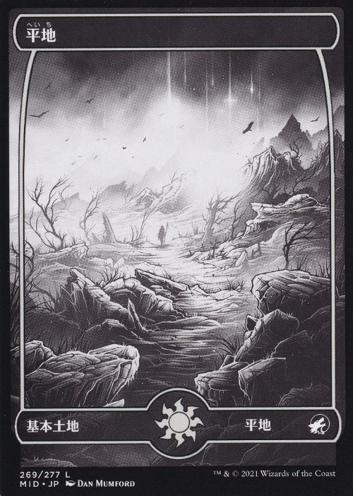 MTG アーティストプルーフ 基本土地5種セット[THB]｜MTG アーティスト