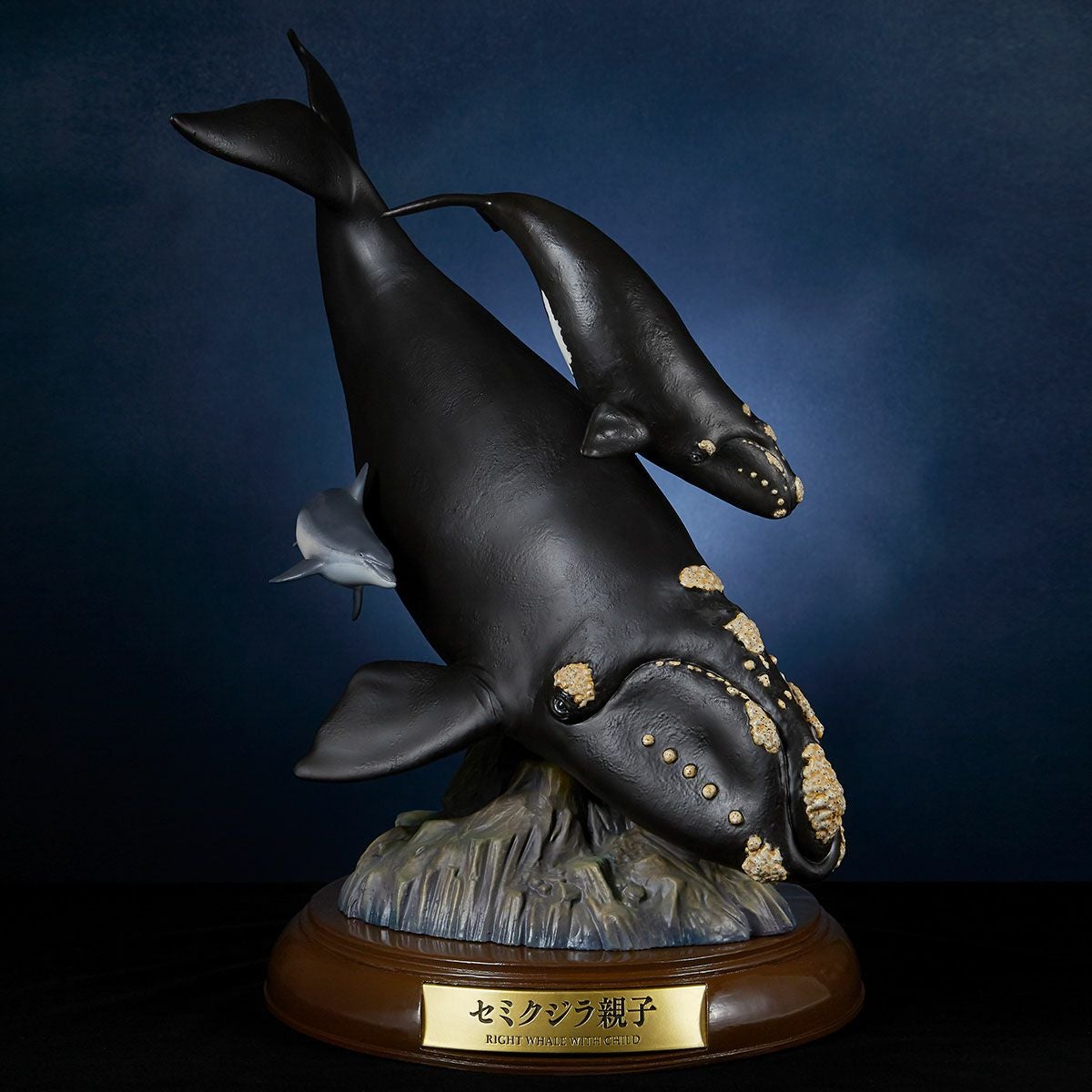 NATURE TALES 恐竜王[限定品][送料無料] | 海洋堂オンラインストア