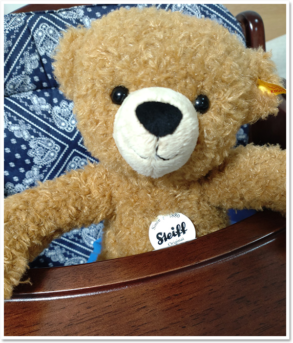 シュタイフ 十五夜うさぎ 21cm EAN678585