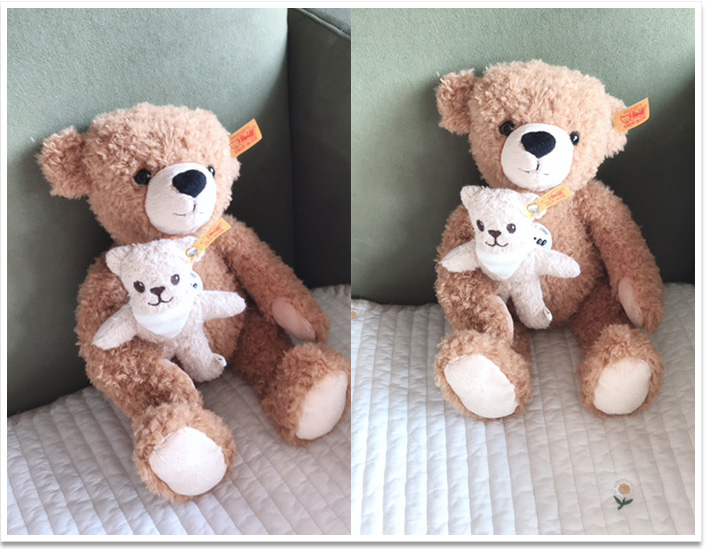 シュタイフ 100周年記念 テディベア 25cm EAN038884