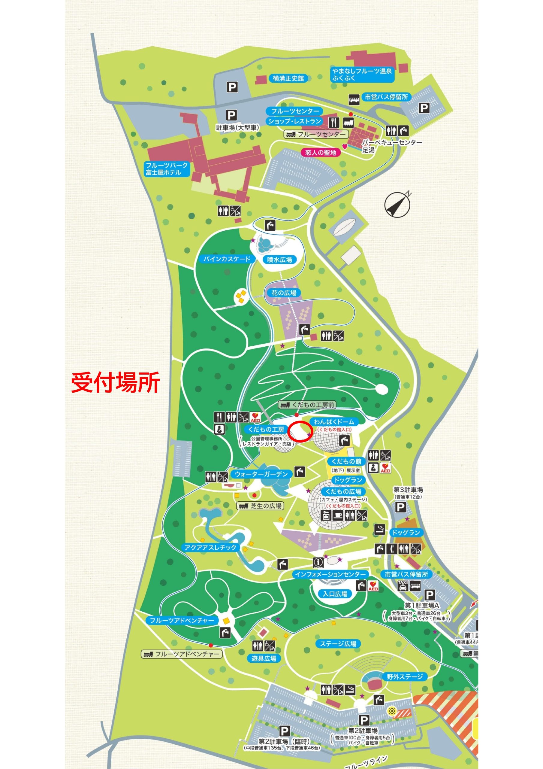 桃収穫体験 | 山梨県笛吹川フルーツ公園