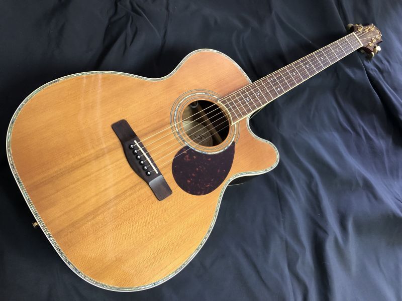 Greg Bennett / OM8CE エレアコ - HR/HMギター専門店 FUTURE WORLD