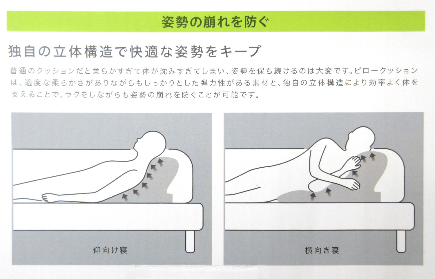 長谷川慎　クッション　巡らせる糸 EXILE TRIBE STATION ONLINE STORE｜PRIMAL SPIDER ～巡らせる糸～ BIG