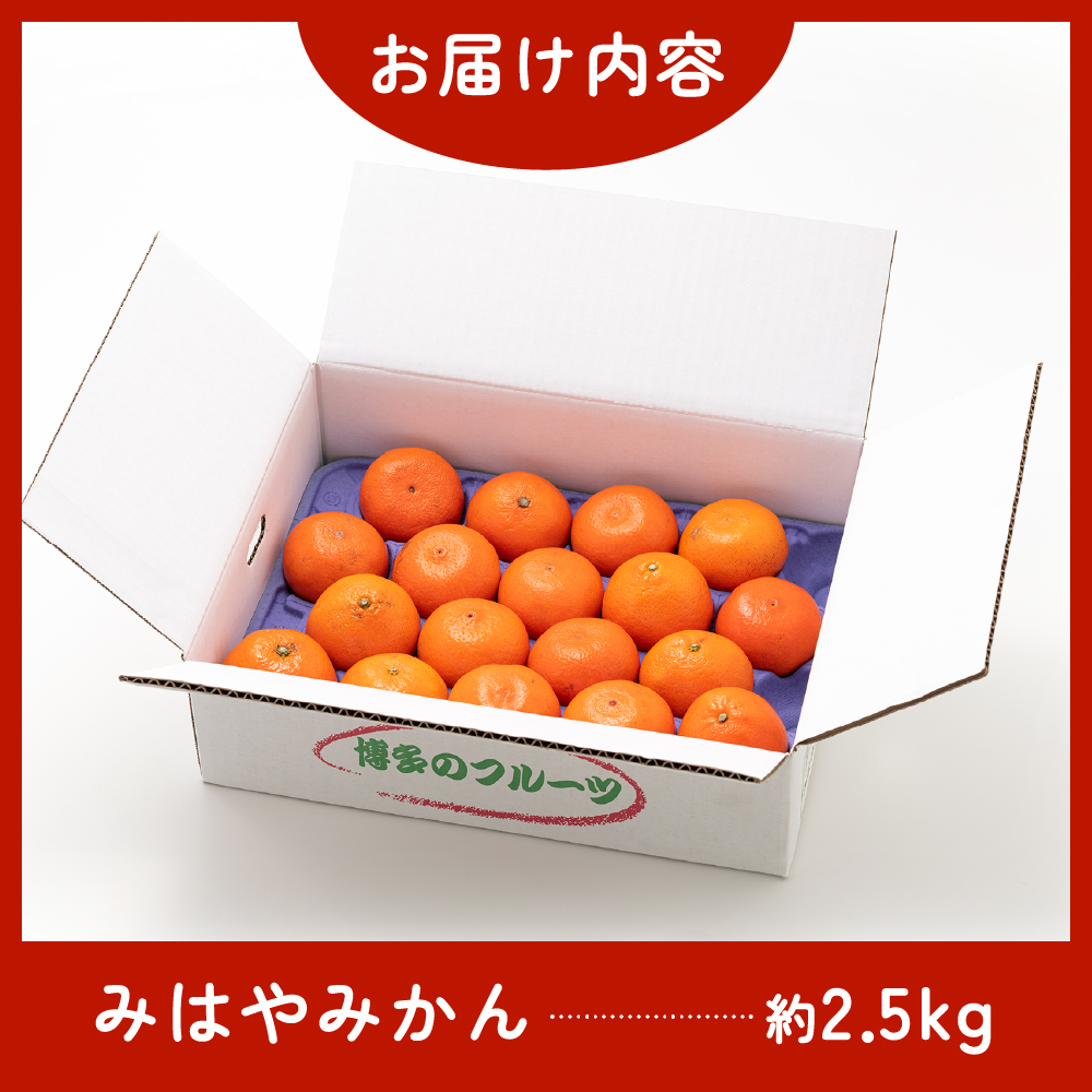AA088.【希少品種】みはやみかん／約2.5キロ(2026年12月上旬～2027年1