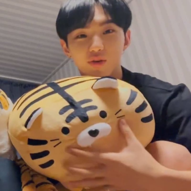 4ff6ee44-c71f-4d83-8dd4-