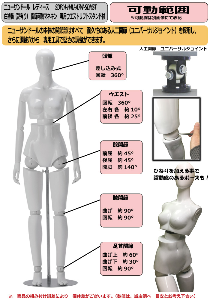 ニューサンドール レディース 白塗装（艶有り） 関節可動マネキン 専用