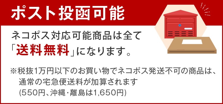 ダブルアールエル) RRL ツールド カービング レザー ヒップ フラスク