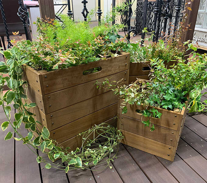 ウッド ボックス プランター 鉢 木目 収納ボックス 3点セット 木製 木