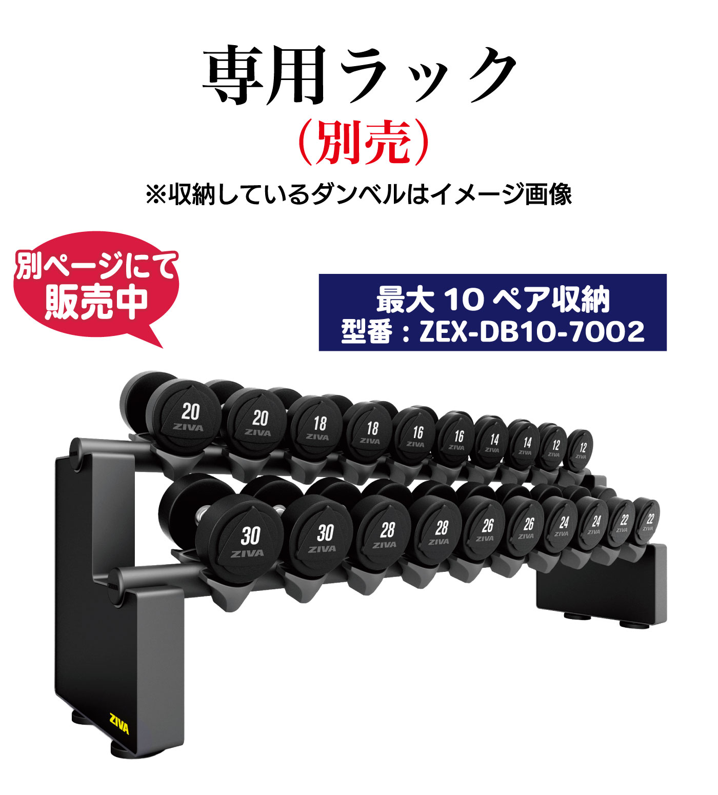 XP 2kg-20kg ウレタン ダンベル｜業務用ダンベル【ダンベル 鉄アレイ