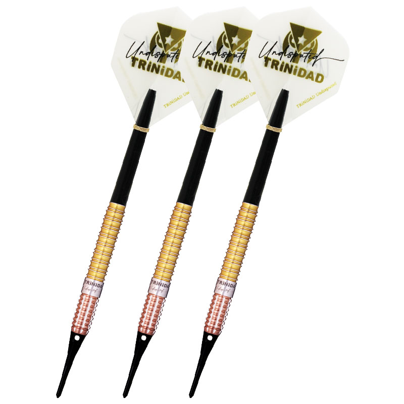 トリニダード キッド3 エボ TRiNiDAD KID TYPE3 EVO 後藤智弥 ダーツ