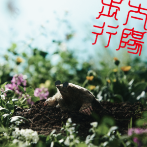 3rd Full Album『太陽歩行』早期予約特典 お知らせソング詳細 & VOS盤