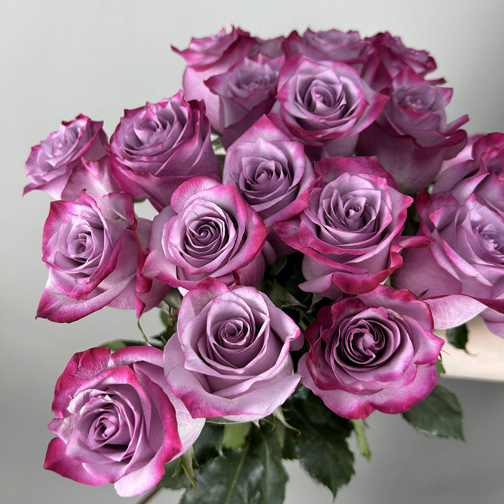 Купить сиреневые розы 50-60см Эквадор в Кемерово с доставкой