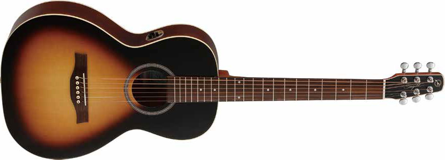 アコースティックギター・エレアコ】Seagullより、新製品続々登場