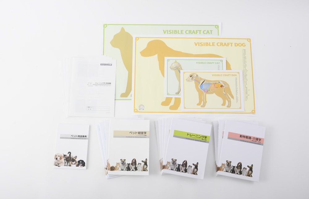 ドッグトレーナープロフェッショナル講座 ヒューマンアカデミー