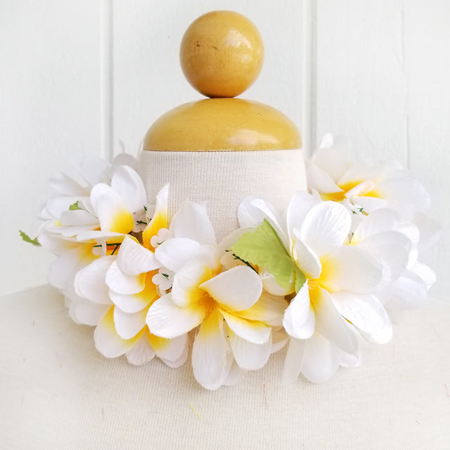 フラ用品 – Halehawaiian