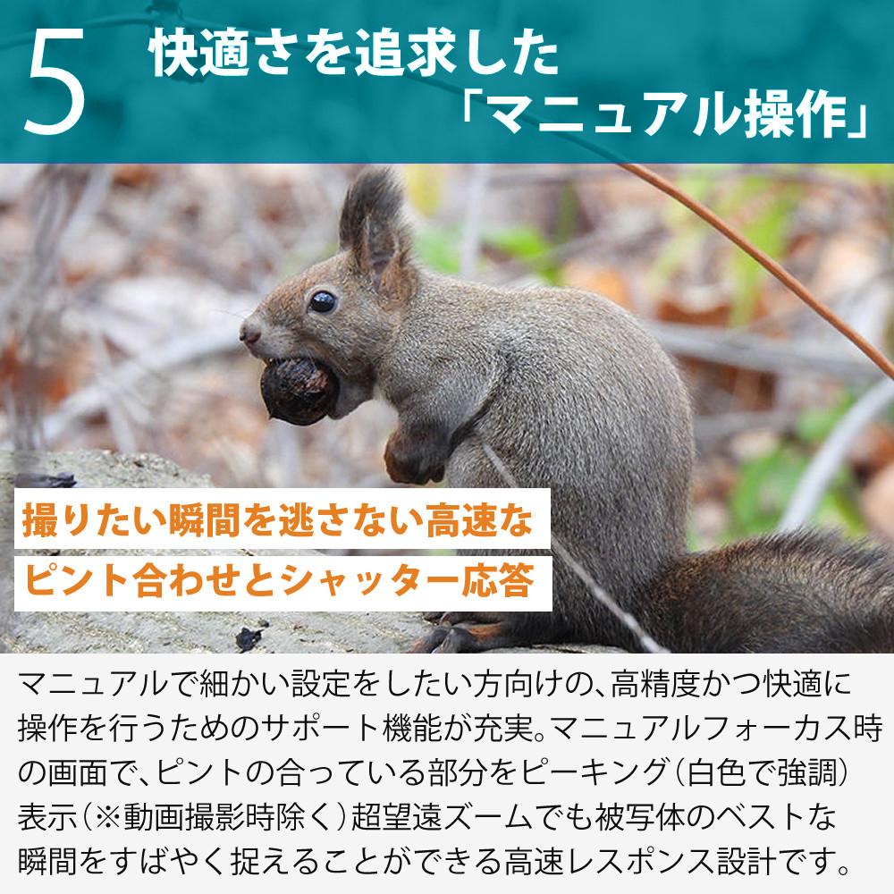 SD・三脚等6点セット)(新品) Nikon ニコン コンパクトデジタルカメラ