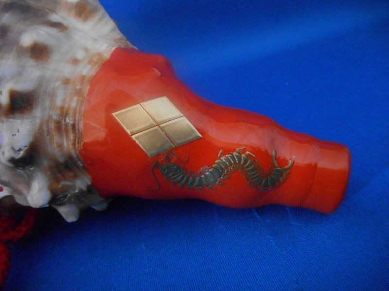 法螺貝（ほら貝）販売のお店