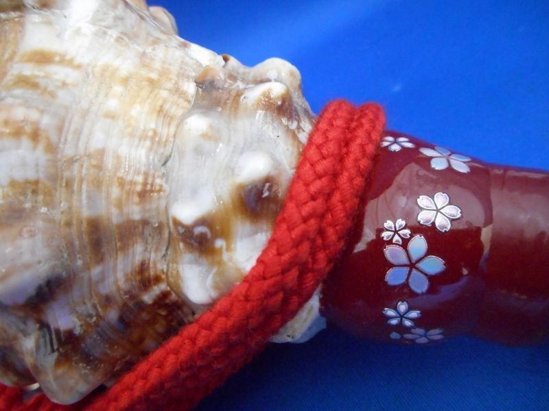 法螺貝（ほら貝）販売のお店