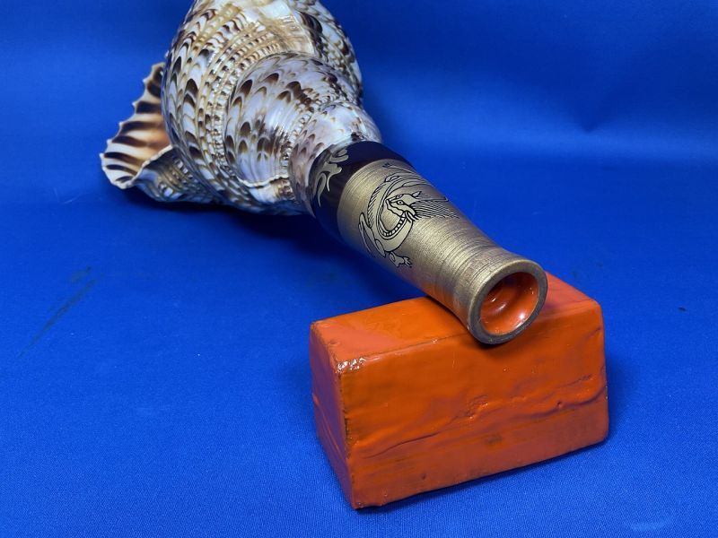 法螺貝（ほら貝）販売のお店