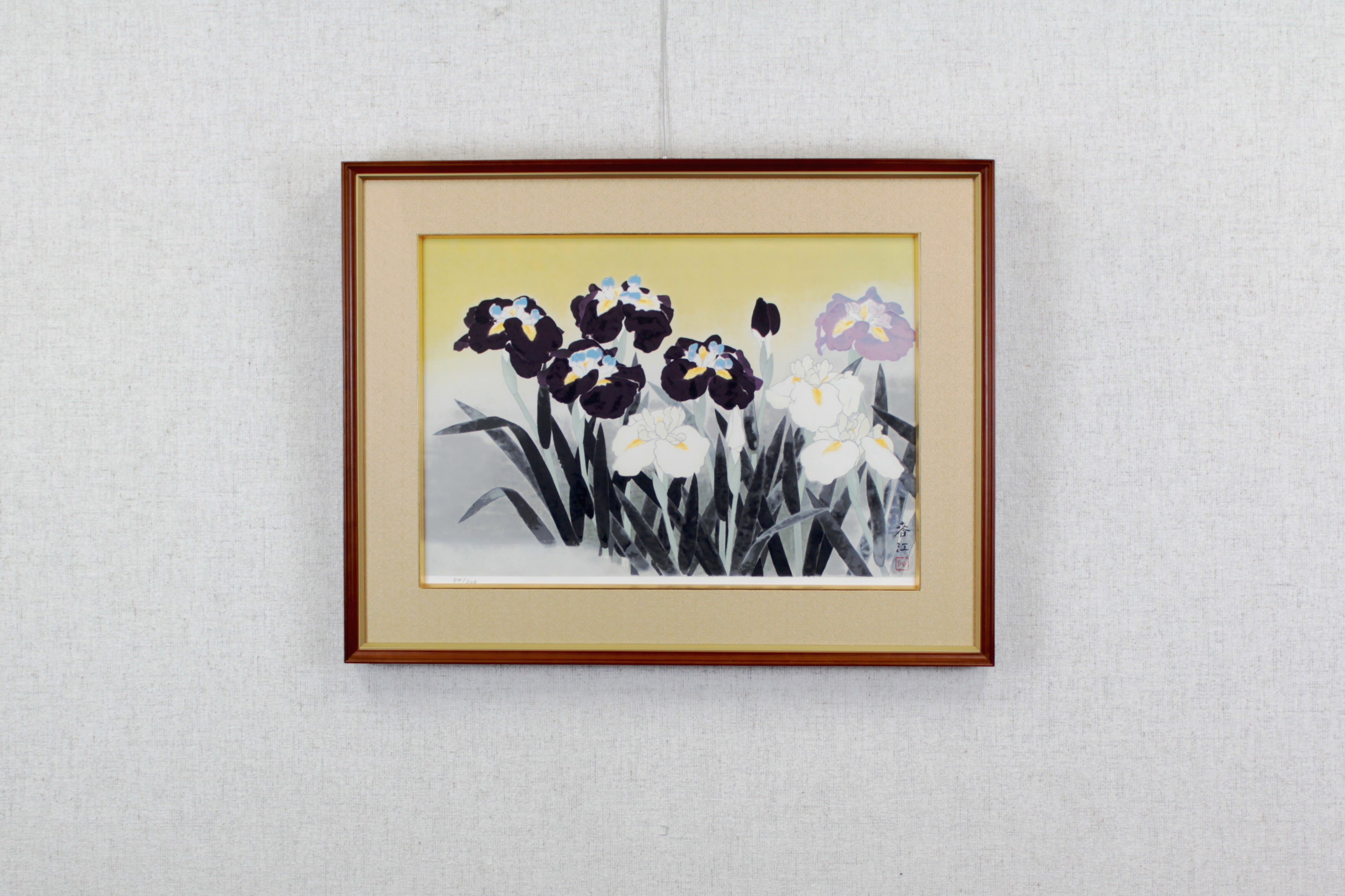 花菖蒲 – 北海道画廊