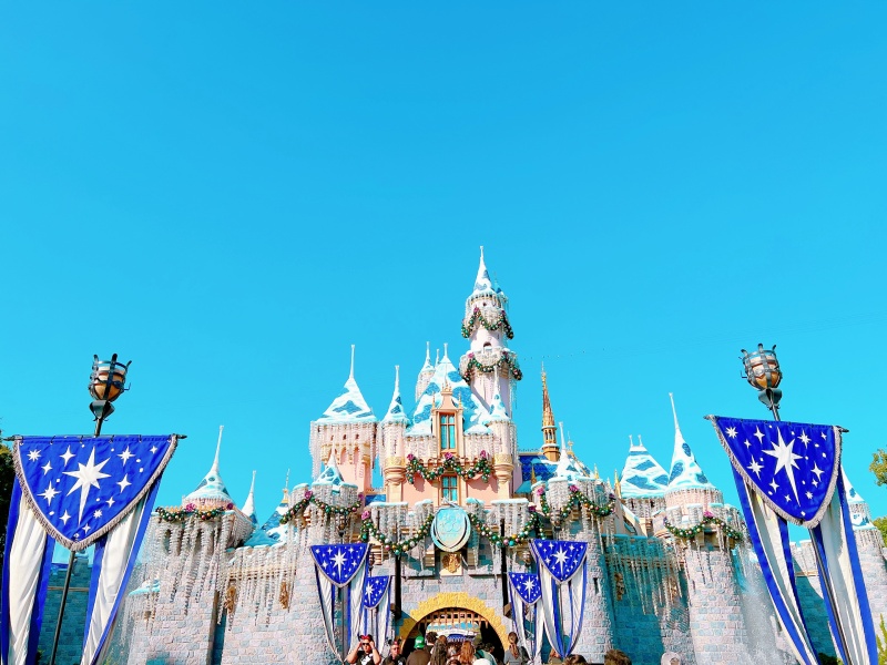 DLR＆DCL】「シンデレラ城」ならぬ「眠れる森の美女の城」美しい