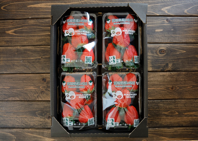 いちご摘み2026のお知らせ | いちいちご 株式会社一苺一笑