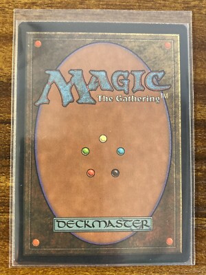 MTG✨APAC Land Promo FOREST Korea 🇰🇷 CLEAR✨MINT Rare 1997 E