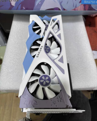 Yeston RX6750XT Sakura 192Bit 12GB GDDR6 GPU Graphics Card | eBay