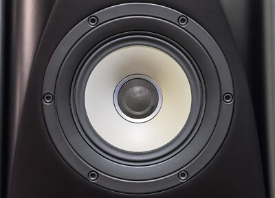 Pioneer TAD S-1EX Coherent Source Floorstanding Speakers