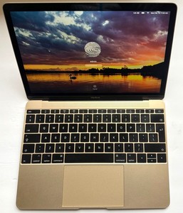 MacBook Retina 12in 2017 | eBay
