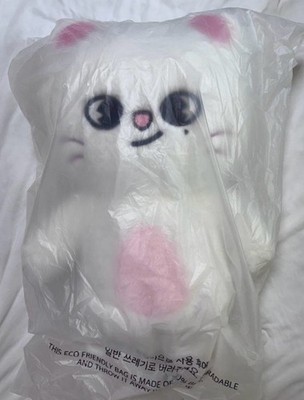 Stray Kids SKZOO Jiniret Plush Teddybear Ver. K-pop Official New