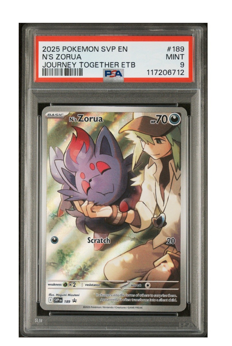 2025 POKEMON SVP EN-SV BLACK STAR PROMO #189 N'S ZORUA PSA 9 | eBay