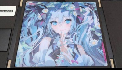 Wallhack/SkyPAD Glass Pad SP-004 Hatsune Miku JAPAN USED | eBay