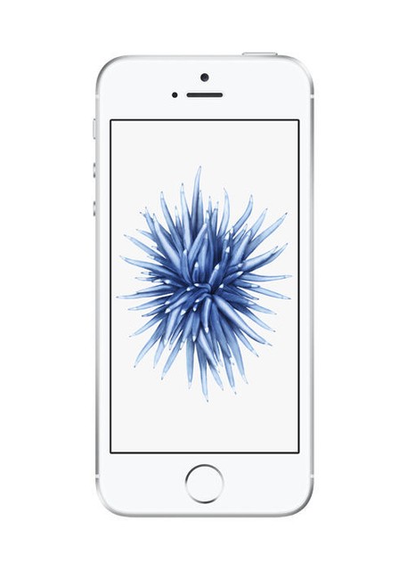 Apple iPhone SE - 128 GB - Silver (Unlocked) for sale online | eBay