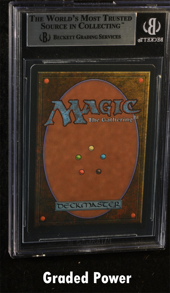 BGS Foreign Revised Black Border Taiga/(Taiga) German 9 (3612