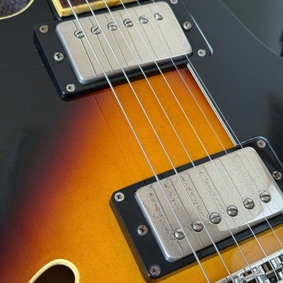 Burny / Fernandes RSA-65 Semi-Hollow Body Dot Sunburst | eBay