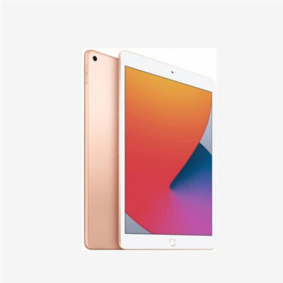 Apple iPad 8 2020 (8th Gen) 10.2