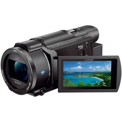 SONY 4K Video Camera Handycam FDR-AX60 Black Built-in memory 64GB