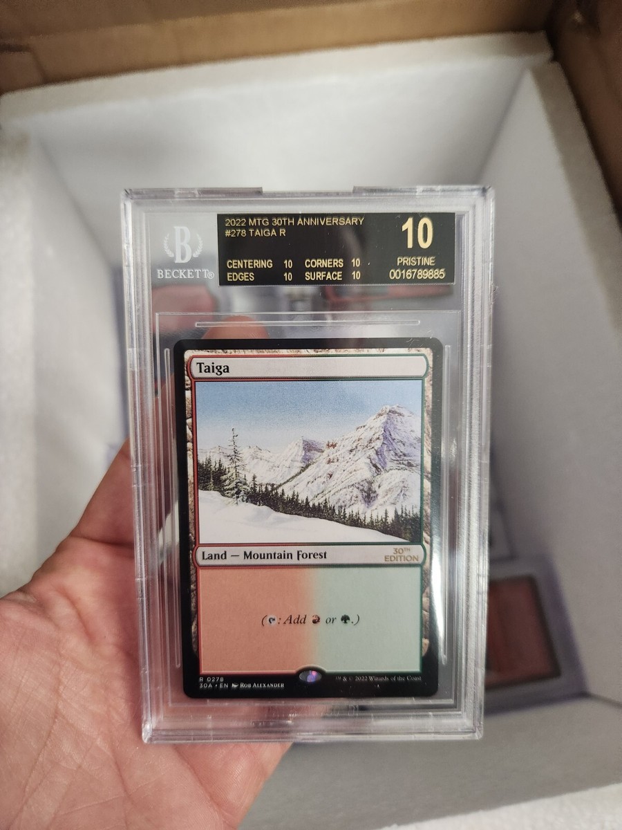 MTG 金枠 Taiga CE Collector's Edition マジック Taiga | Collectors